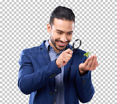 Magnifying glass, plant and growth with man in studio for investment, search and zoom. Knowledge, discover and investigation with employee on gray background for study, analysis and curiosity
