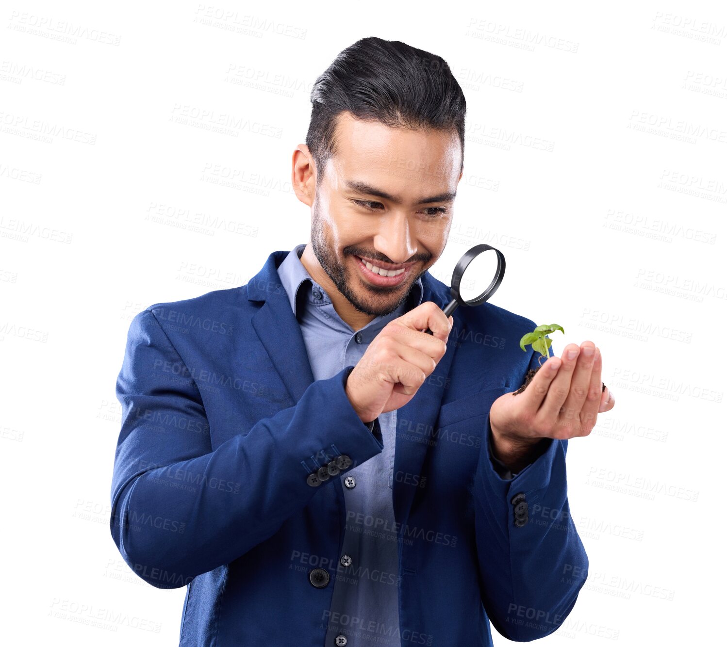 Buy stock photo Business man, magnifying glass and plant growth with analysis isolated on transparent png background. Search, investigation and knowledge with ecology, investment and attention with male employee