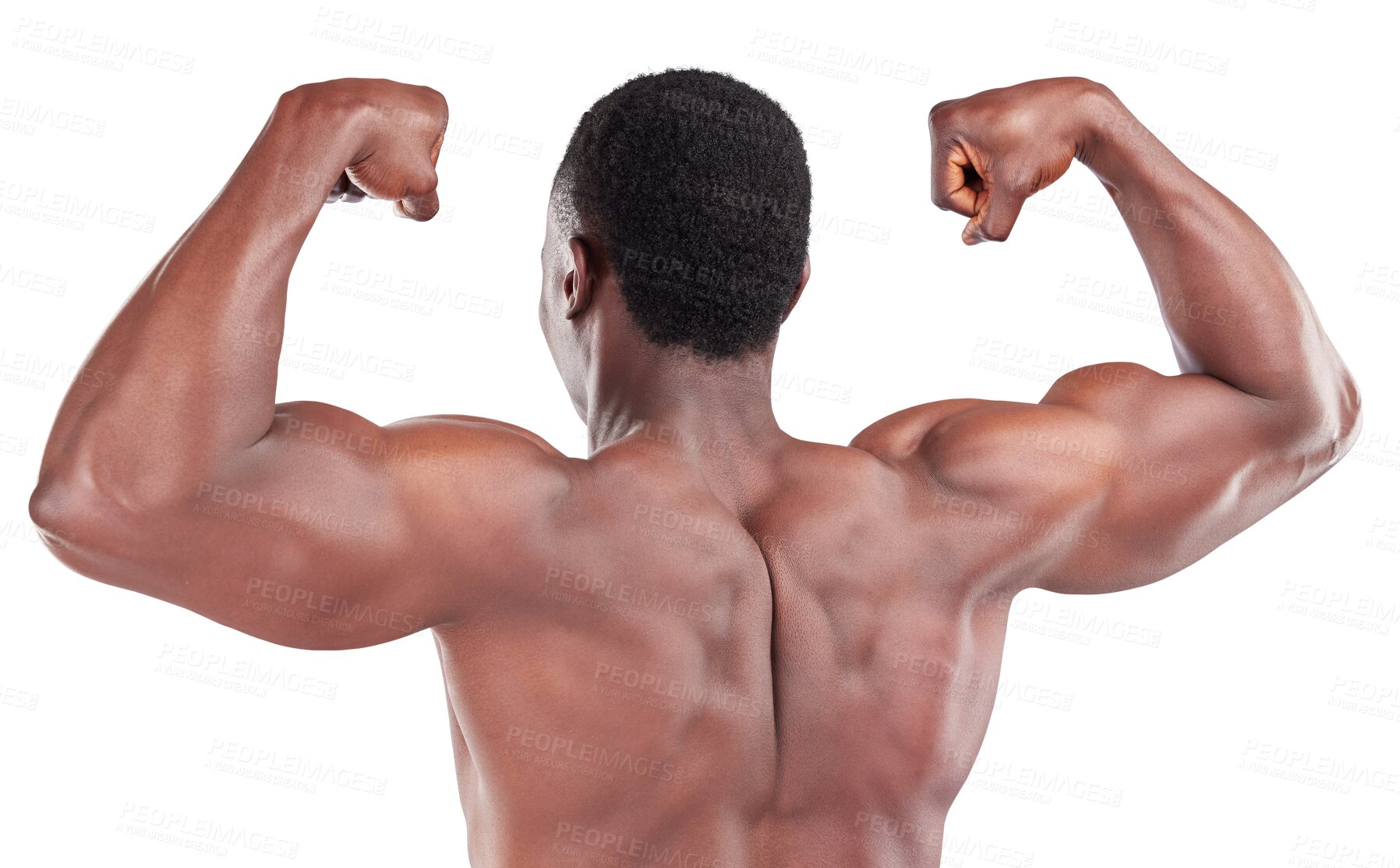 Buy stock photo Fitness, muscle and flex with back of black man on transparent background for workout, strong and health. Exercises, training and bodybuilder with person isolated on png for challenge and wellness