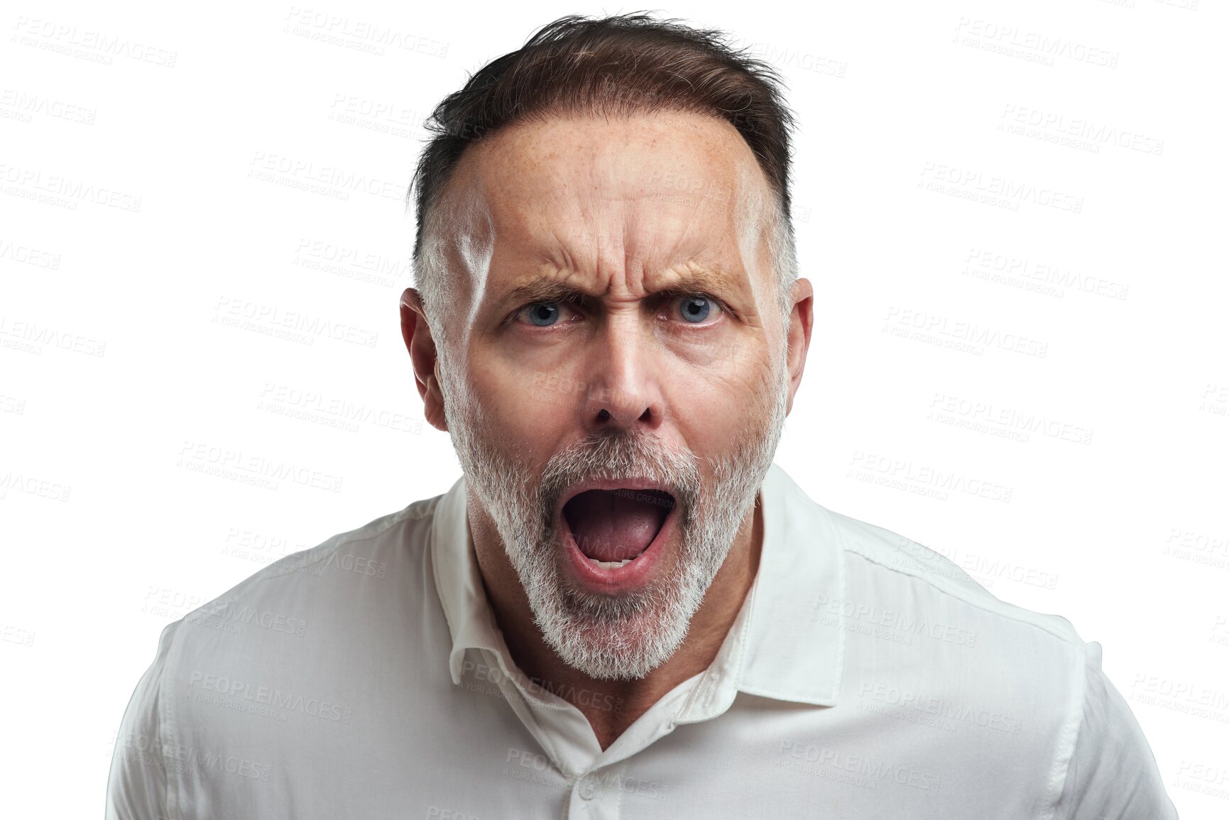 Buy stock photo Face portrait, scream and man angry in argument, fight or confrontation over problem, crisis or mistake. Shout, yell and unhappy person frustrated with anger isolated on transparent, png background