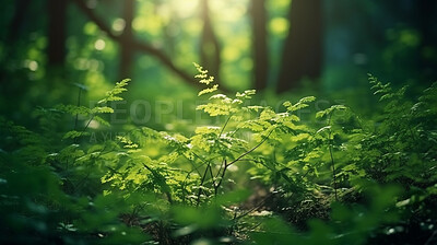 Fantasy, trees and nature with leaves in forest and field for environment, sustainability and ecology. Ai generated, ecosystem and calm with countryside plants for summer, paradise and traveling