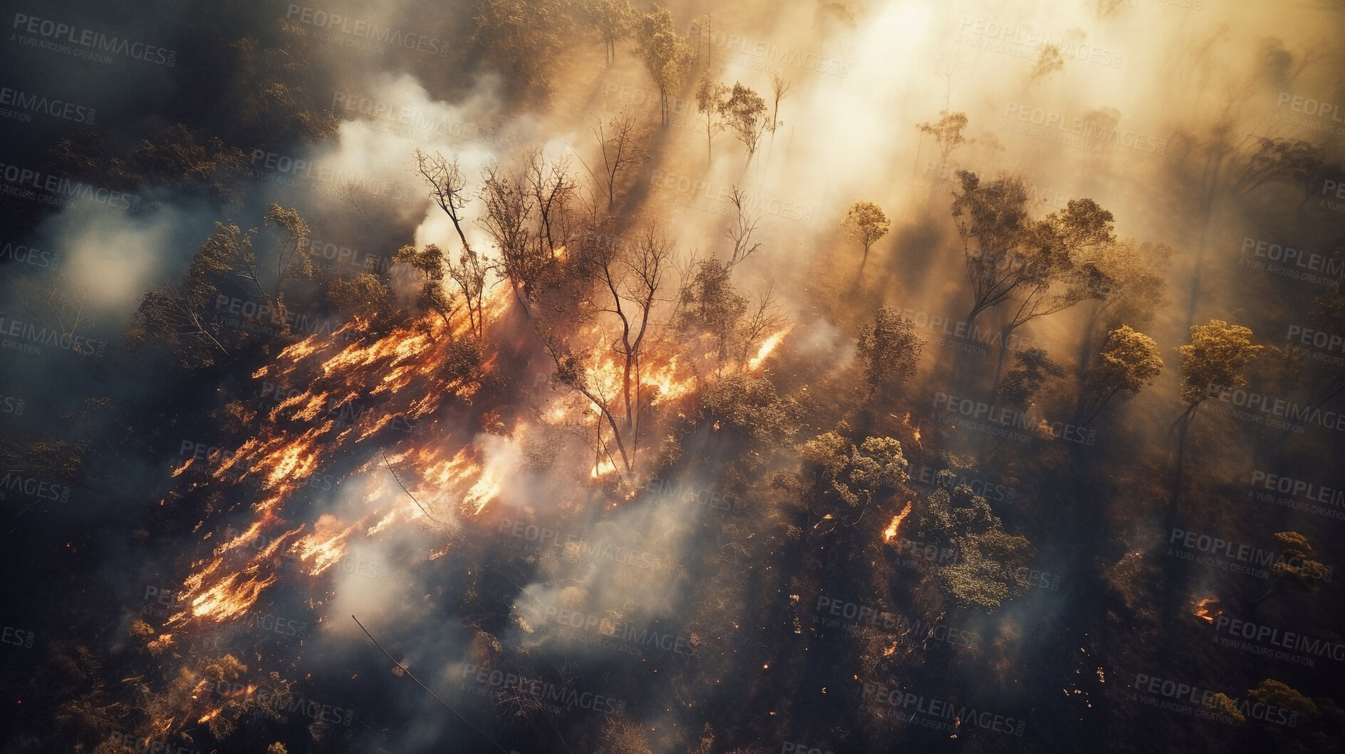 Buy stock photo Deforestation, disaster and smoke with fire in forest for landscape, climate change and drone ecology. Ai generated, plants and timber with landscape of woods flame for earth, disaster and pollution