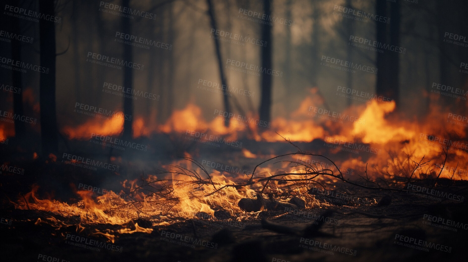 Buy stock photo Destruction, fire and smoke with forest in nature for deforestation, climate change and drone ecology. Ai generated, plants and timber with landscape of woods flame for earth, disaster and pollution