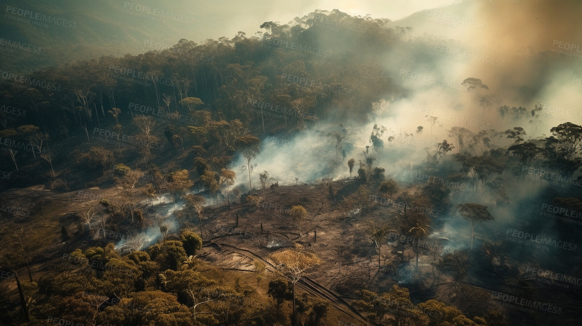 Buy stock photo Deforestation, disaster and smoke with forest in nature for environment, trees cutting and ecology. Ai generated, plants and climate change with landscape of woods for earth, eco and industrial