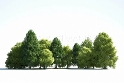 Nature, trees and garden with forest on white background for ecology, environment and sustainability. Ai generated, summer and landscape with woods on space for plant, leaf and climate change