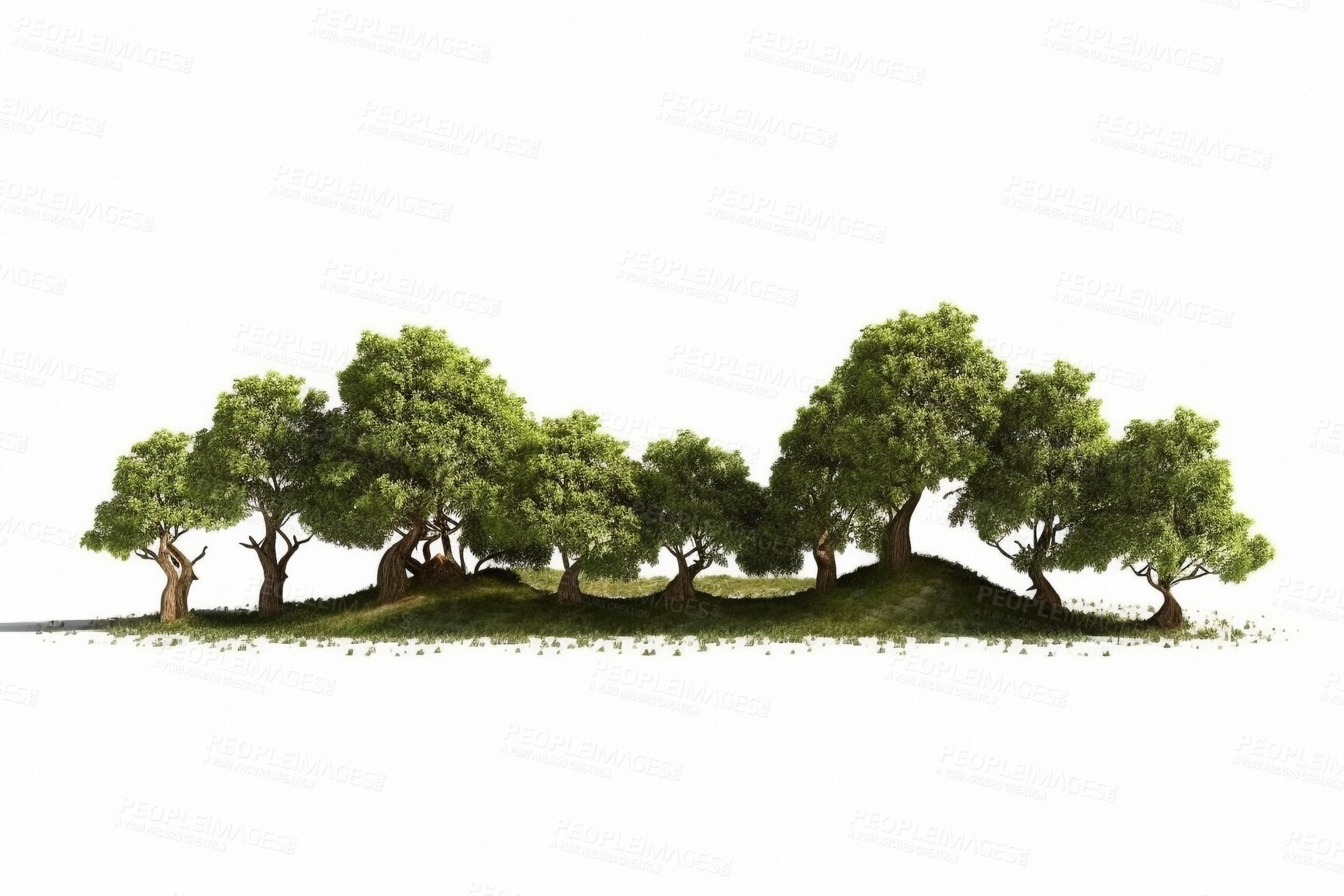 Buy stock photo Nature, trees and environment with forest on white background for ecology, garden and sustainability. Ai generated, summer and landscape with woods on space for plant, leaf and climate change