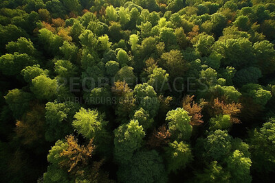 Nature, environment and drone view of trees in forest for plant, sustainability and flora. Peace, ai generated and landscape with meadow in countryside woods for foliage, paradise and wilderness