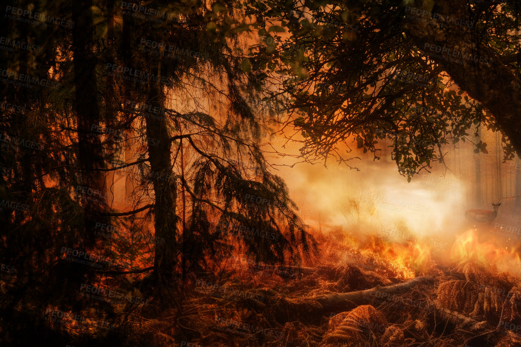 Buy stock photo Smoke, disaster and danger with fire in forest for destruction, fossil fuel and climate change. Explosion, deforestation and ai generated with burning woods for energy, flame and global warming