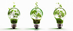 Light bulb, plants or isolated growth in green energy, sustainability or ai generated recycling idea