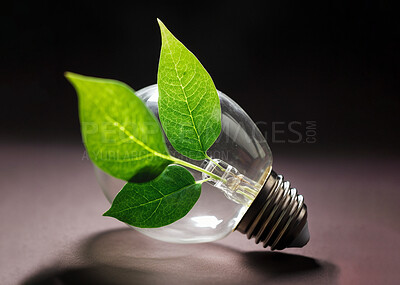 Light bulb, plant or isolated growth in green energy, sustainability and ai generated recycling idea