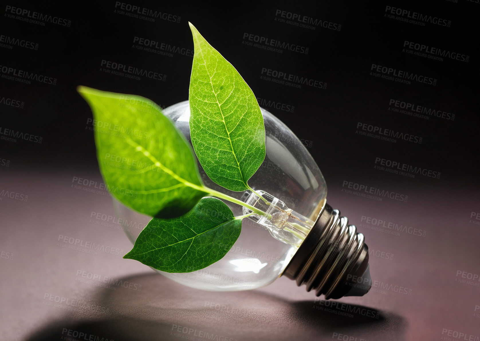 Buy stock photo Light bulb, plant or isolated growth in green energy, sustainability and ai generated recycling idea
