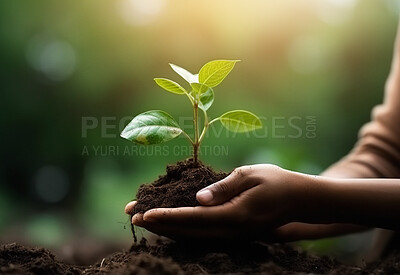 Closeup hands, plant and sapling for agriculture, eco conservation and ai generated person in growth
