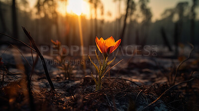 Buy stock photo Closeup, flower and crocus plant growth in nature, forest and ai generated woods for sustainability