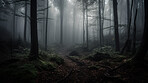 Forest path, mist and fog in woods, nature and ai generated countryside for hiking adventure