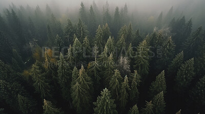 Buy stock photo Drone view, trees and woods with mist, fog and morning atmosphere in ai generated remote forest