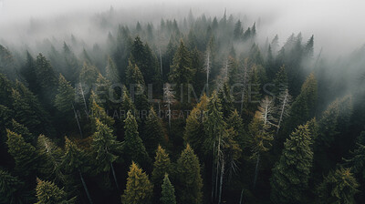 Buy stock photo Drone view, trees and forest with mist, fog and morning atmosphere in ai generated remote woods