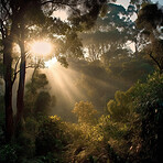 Sunlight, sun rays or light in forest trees for morning peace, woods and ai generated sustainability