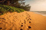 Summer, nature and footprints in sand of beach for explore, tropical and adventure. Ai generated, landscape and travel with footsteps following on coastline for seaside holiday, freedom and tourism