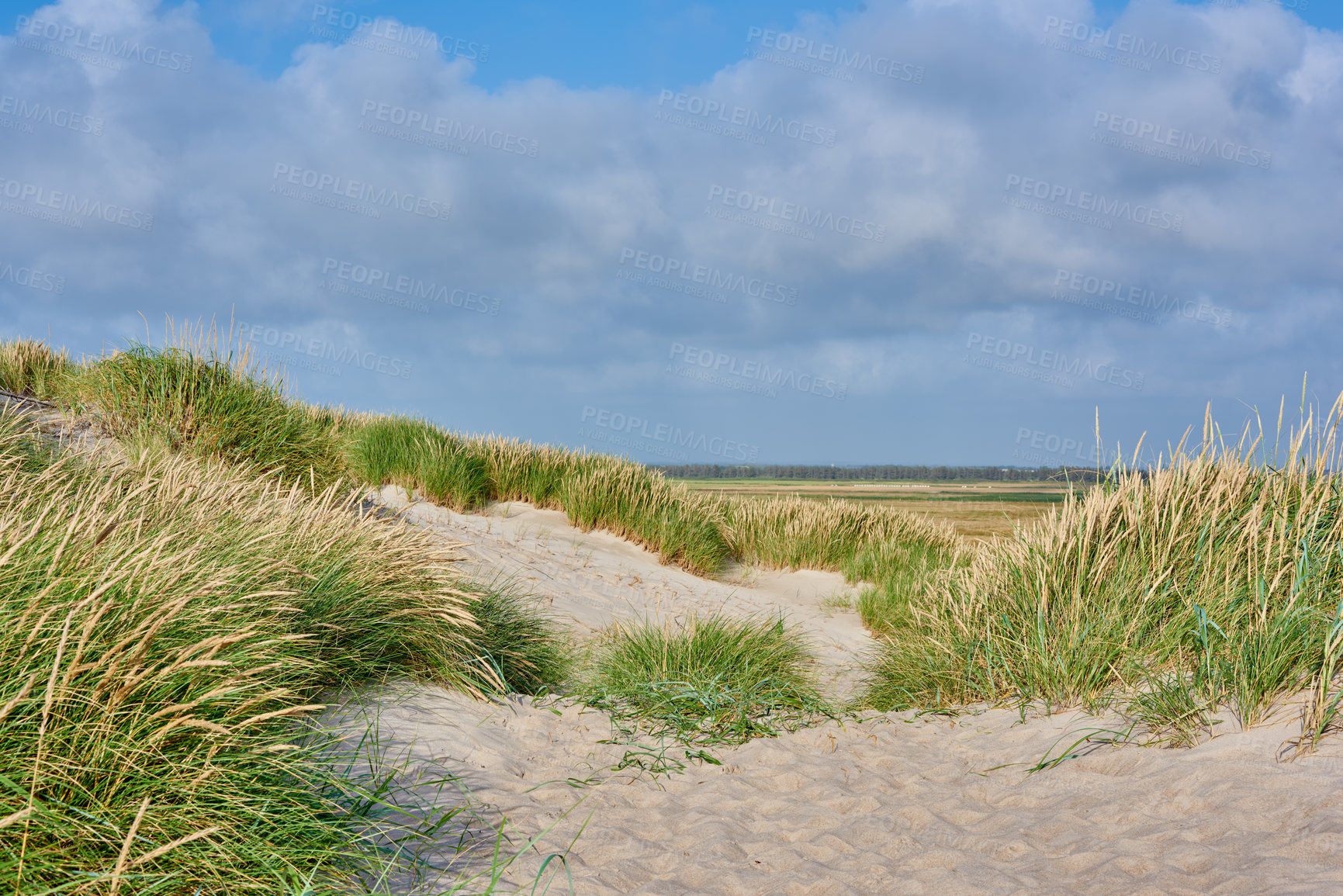 Buy stock photo Outdoor, grass and sand on beach at destination for summer vacation, getaway or weekend trip. Environment, blue sky and green leaves at landscape for location in nature for holiday with tourism.