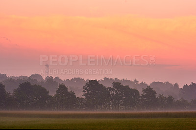 Buy stock photo Outdoor, landscape or countryside with agriculture, sunset or Denmark with farming, sky or growth. Empty, outside or field with sustainability, plants or eco friendly with mockup space or environment