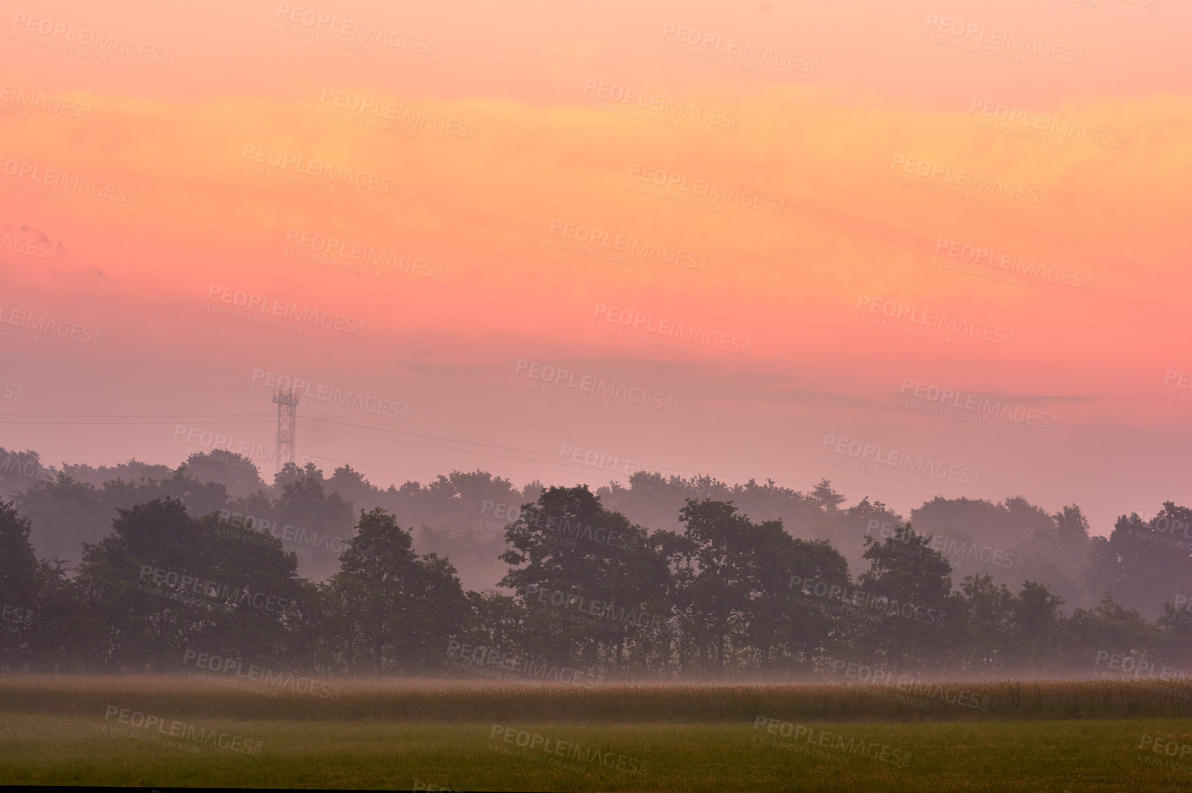 Buy stock photo Outdoor, landscape or countryside with agriculture, sunset or Denmark with farming, sky or growth. Empty, outside or field with sustainability, plants or eco friendly with mockup space or environment