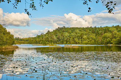 Buy stock photo The Kingdom of Denmark