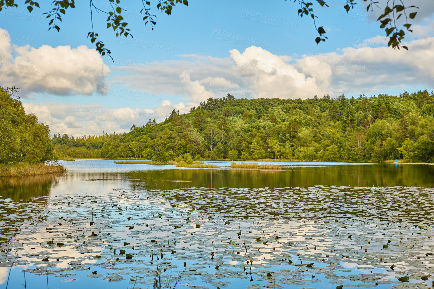 Buy stock photo The Kingdom of Denmark