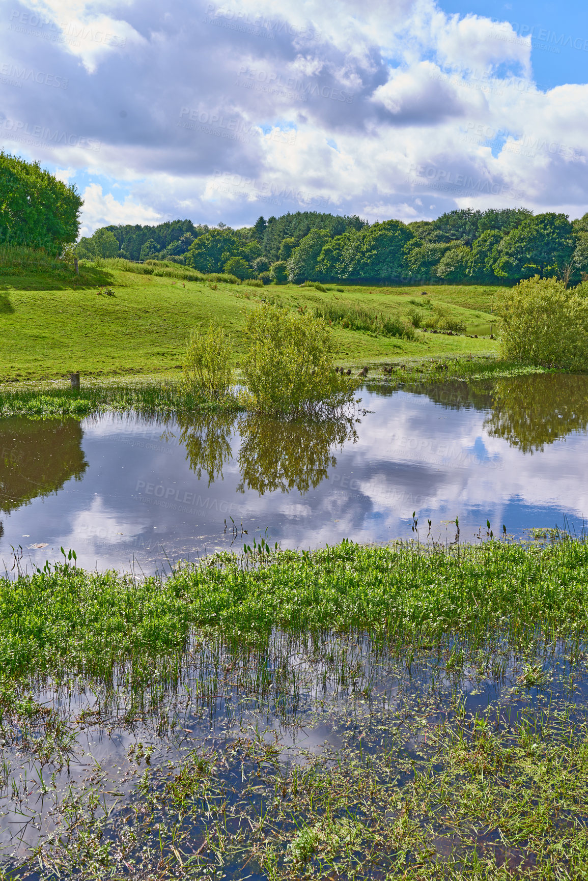 Buy stock photo Nature, water and lake with grass field or greenery of outdoor swamp or rural pond in countryside. Empty, river or cloudy sky with trees of natural scenery, wetland or environment for agro ecology