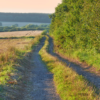 Buy stock photo A dirt road beside a field in the Danish countryside in summer. Rocky gravel path through rustic grass or farm land in spring against a yellow orange sky. Peaceful nature scene of cultivated wheat
