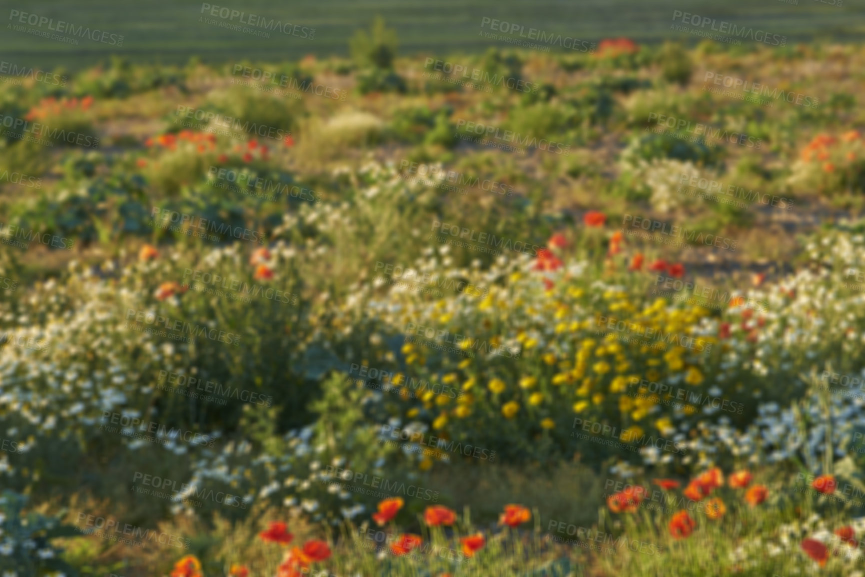 Buy stock photo Nature in the Kingdom of Denmark