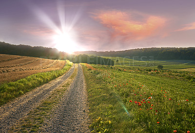 Buy stock photo Nature in the Kingdom of Denmark