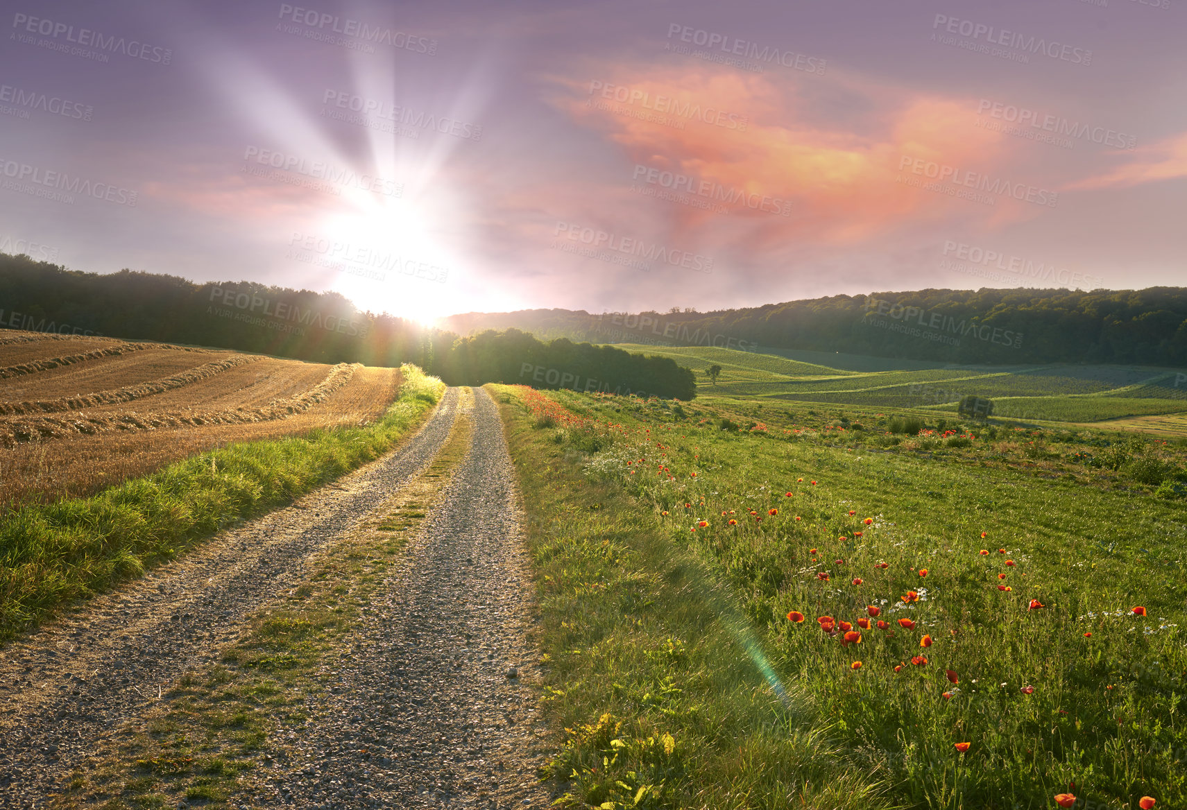 Buy stock photo Nature in the Kingdom of Denmark