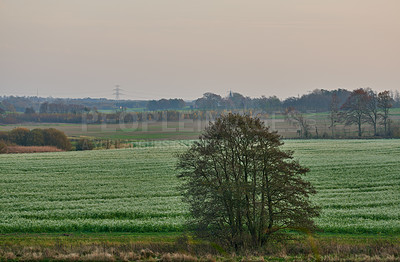 Buy stock photo Nature in the Kingdom of Denmark