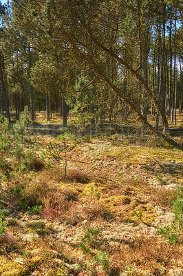 Buy stock photo Nature in the Kingdom of Denmark