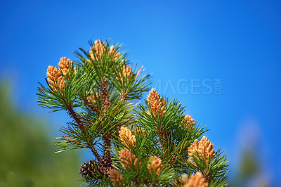 Buy stock photo Nature in the Kingdom of Denmark