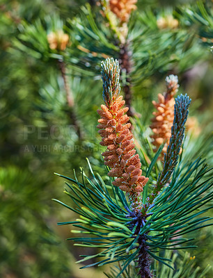 Buy stock photo Nature in the Kingdom of Denmark