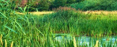 Buy stock photo Nature in the Kingdom of Denmark