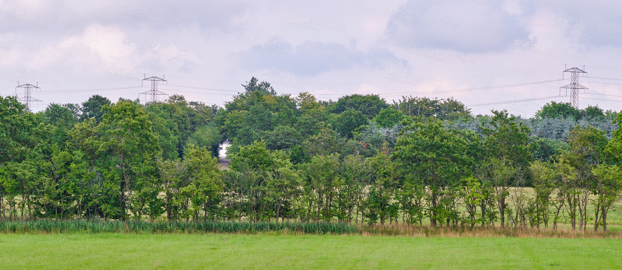 Buy stock photo Nature in the Kingdom of Denmark