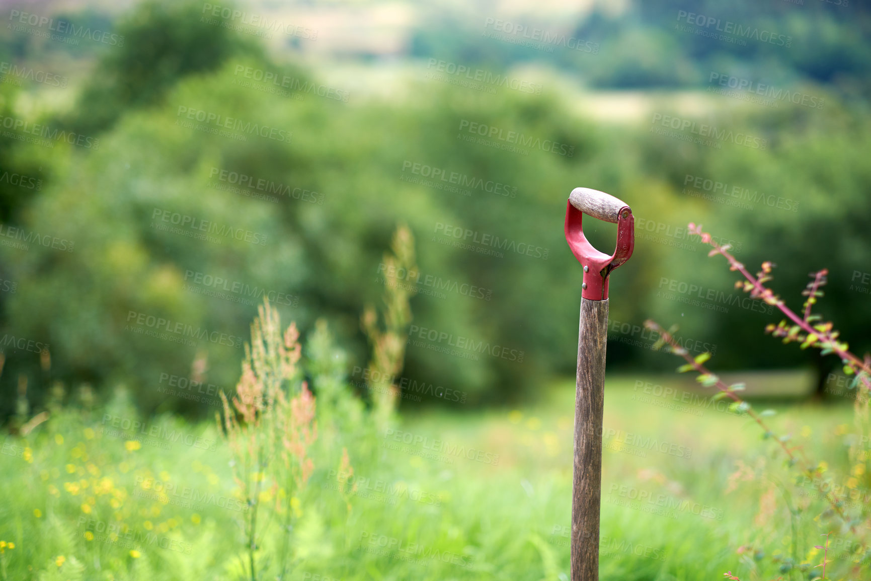 Buy stock photo Nature in the Kingdom of Denmark