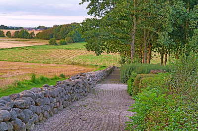 Buy stock photo Grass field, trees and path with farmland for rural garden design, agriculture or natural growth in countryside. Empty, trail or nature with greenery for eco environment, plantation or vegetation