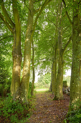 Buy stock photo Nature in the Kingdom of Denmark