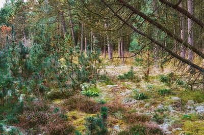 Buy stock photo Nature in the Kingdom of Denmark