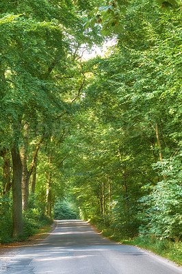 Buy stock photo Landscape, road and trees in nature, empty and eco friendly with path, tourism or sustainability. Travel, plants and location for holiday in environment, adventure and peace in woods, way or Denmark