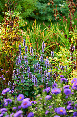 Buy stock photo Nature in the Kingdom of Denmark