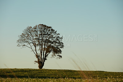 Buy stock photo Nature in the Kingdom of Denmark