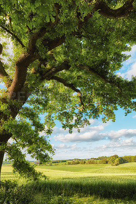 Buy stock photo Nature in the Kingdom of Denmark