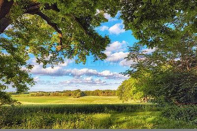 Buy stock photo Nature in the Kingdom of Denmark