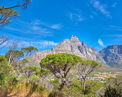 Buy stock photo Copy space with a scenic landscape view of Table Mountain in Cape Town, South Africa against a blue sky background with trees and plants. Beautiful panoramic of an iconic landmark and natural wonder
