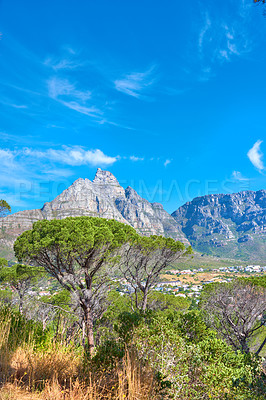 Buy stock photo Landscape view and blue sky with copy space of Table Mountain in Cape Town, South Africa. Steep scenic famous hiking and trekking terrain with trees growing around it. Travel and tourist attraction