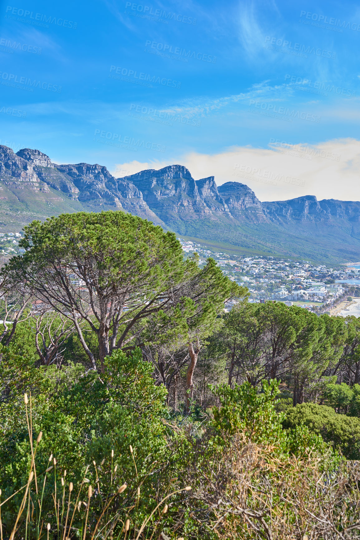 Buy stock photo Copy space with the Twelve Apostles at Table Mountain in Cape Town against a blue sky background. Amazing view of plants and trees growing around a majestic rocky valley and scenic city in nature